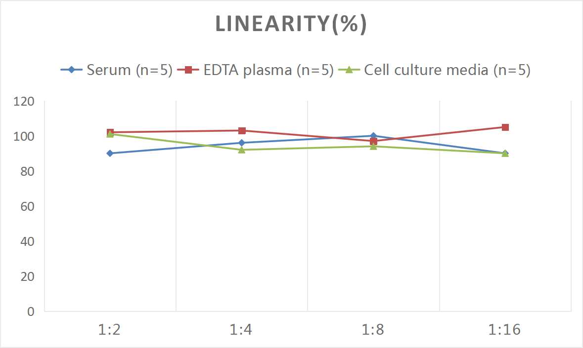 Rat IL-6(Interleukin 6) ELISA Kit-1