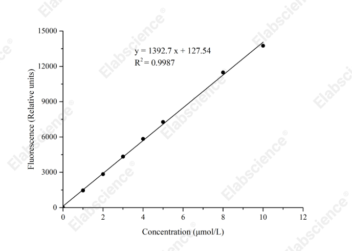 Cathepsin B Activity Fluorometric Assay Kit - 1