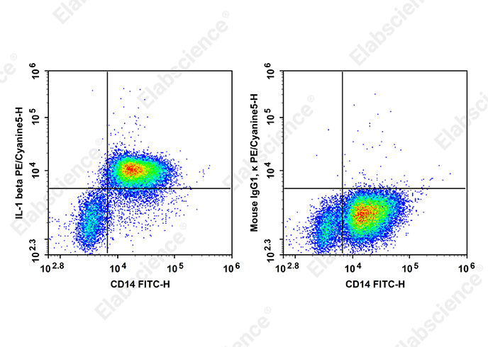 PE/Cyanine5 Anti-Human IL-1β Antibody[CRM56] - 1