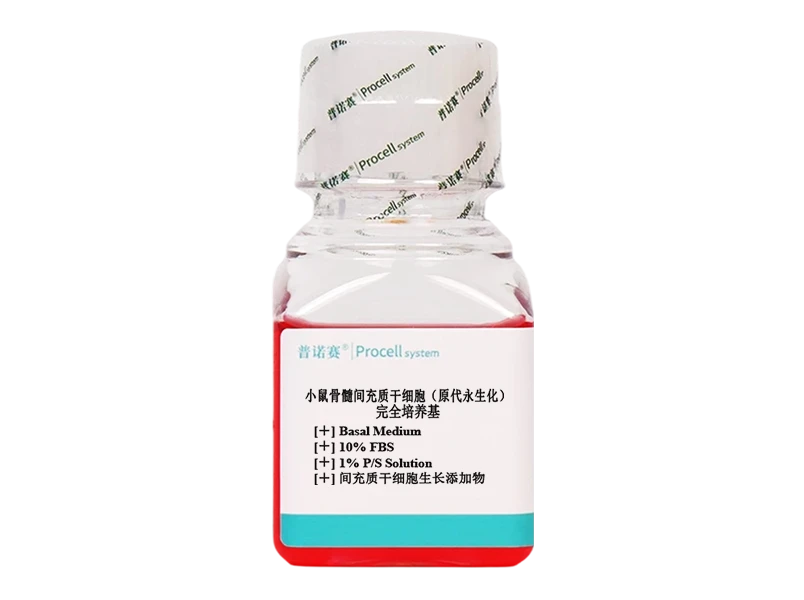 https://789.bio/ec/JPRvpXVk