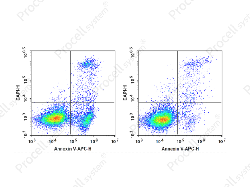 Annexin V-APC/DAPI Apoptosis Kit