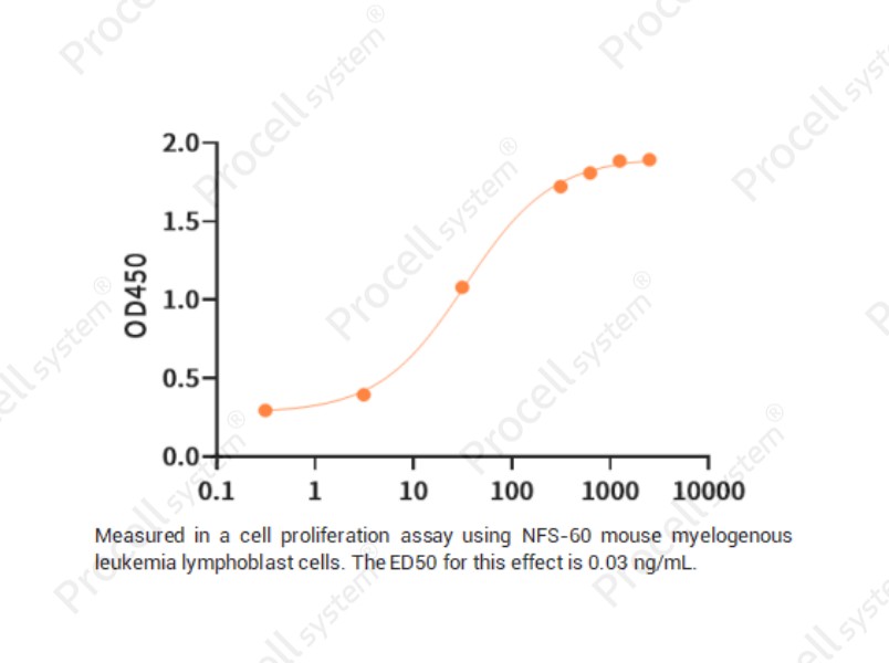 G-CSF/CSF-3/MGI-1G, Human, RecombinantG-CSF/CSF-3/MGI-1G, Human, Recombinant - 2
