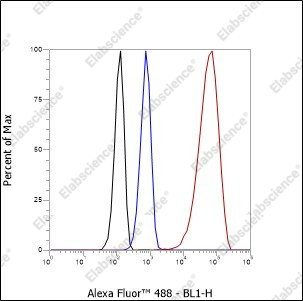 Recombinant NSE Monoclonal Antibody - 5