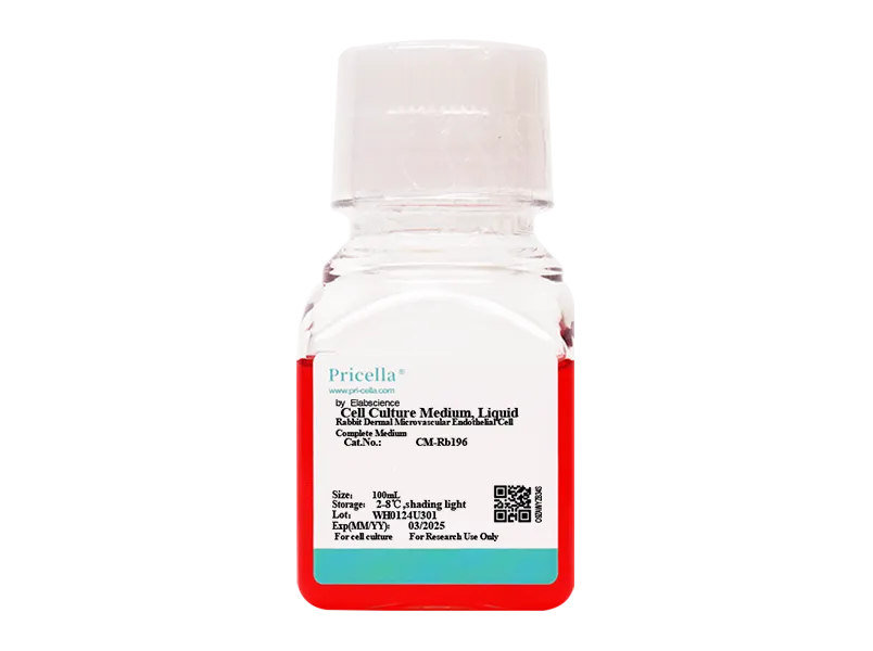 Rabbit Dermal Microvascular Endothelial Cell Complete Medium-searchlist-1