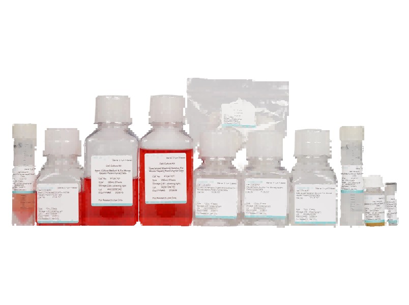 Mouse Hepatic Parenchymal Cell Isolation and Culture Kit - 1