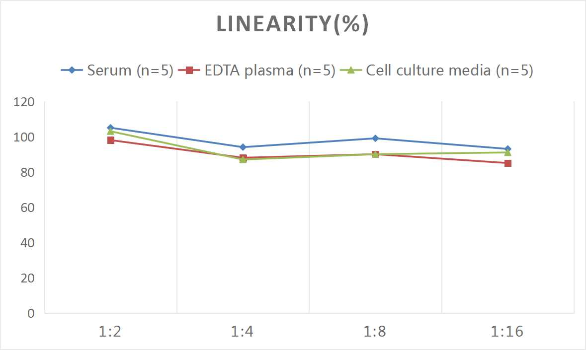 QuicKey Pro Mouse T(Testosterone) ELISA Kit-产品推荐-16