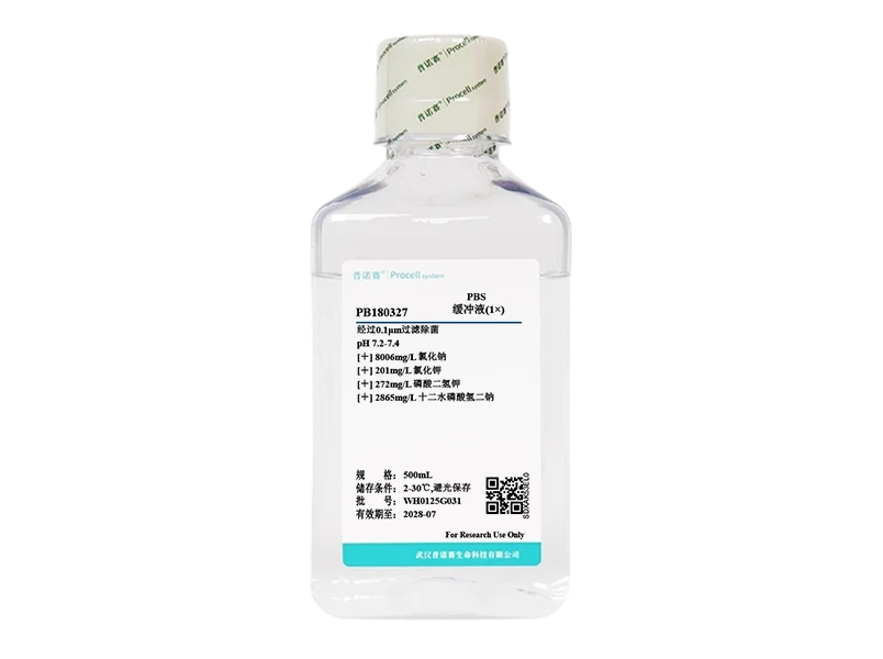 https://789.bio/ec/JoRQftBA