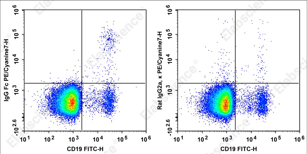 PE/Cyanine 7 Anti-Human IgG Fc Antibody[M1310G05] - 1