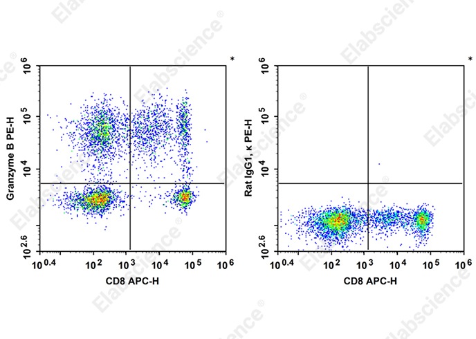 PE Anti-Human Granzyme B Antibody[QA18A28] - 1