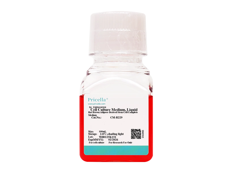 Rat Brown Adipose-Derived Stem Cell Complete Medium - small - 1