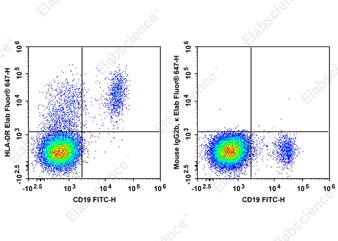 Elab Fluor<sup>®</sup>647 Anti-Human HLA-DR Antibody[Tü36] - 1