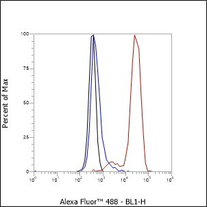 Recombinant Glycophorin A Monoclonal Antibody - 2