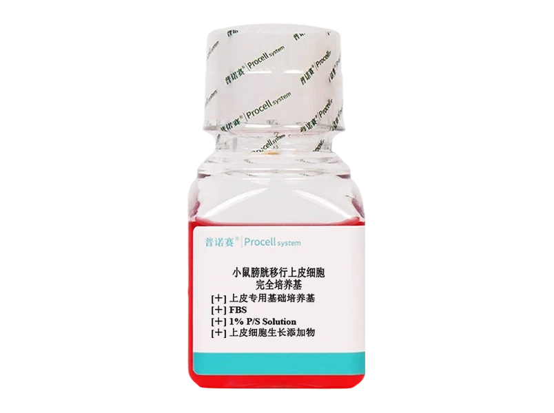 https://789.bio/ec/K2SuUoHD