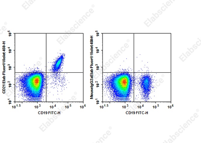Elab Fluor<sup>®</sup>Violet 450 Anti-Human CD21 Antibody[HB5] - 1