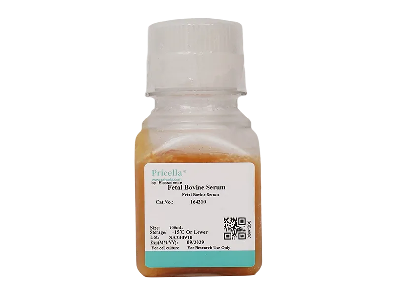 Fetal Bovine Serum