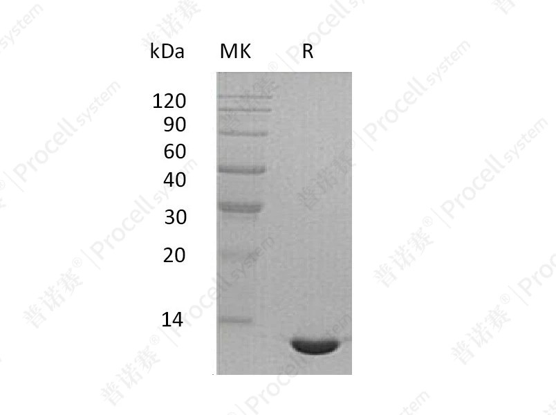 https://789.bio/ec/K4ZWDC