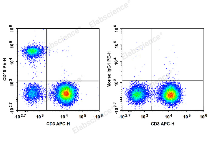 Human peripheral blood lymphocytes are stained with APC Anti-Human CD3 Antibody and PE Anti-Human CD19 Antibody (Left). Lymphocytes are stained with APC Anti-Human CD3 Antibody and PE Mouse IgG1, κ Isotype Control (Right).