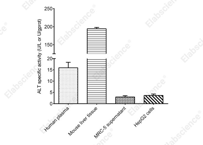 Alanine Aminotransferase (ALT/GPT) Activity Assay Kit - 2