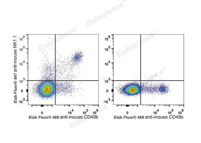 Elab Fluor® 647 Anti-Mouse CD161/NK1.1 Antibody[PK136]-1