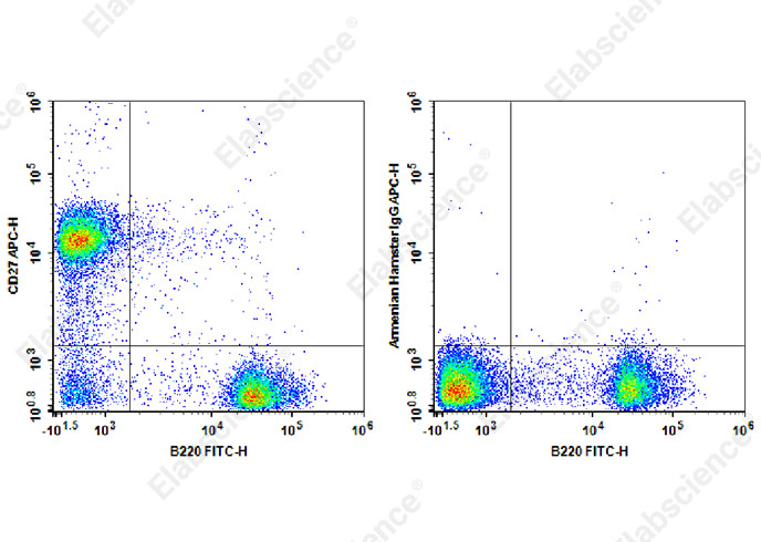 APC Anti-Mouse CD27 Antibody[LG.3A10]-1