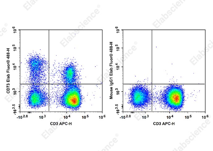 Elab Fluor® 488 Anti-Human CD73 Antibody[AD2]-1