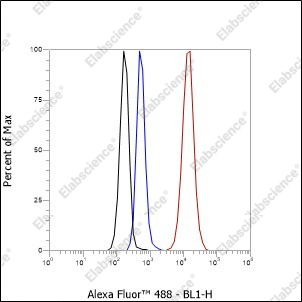Recombinant Phospho-YAP1 (Ser127) Monoclonal Antibody - 5