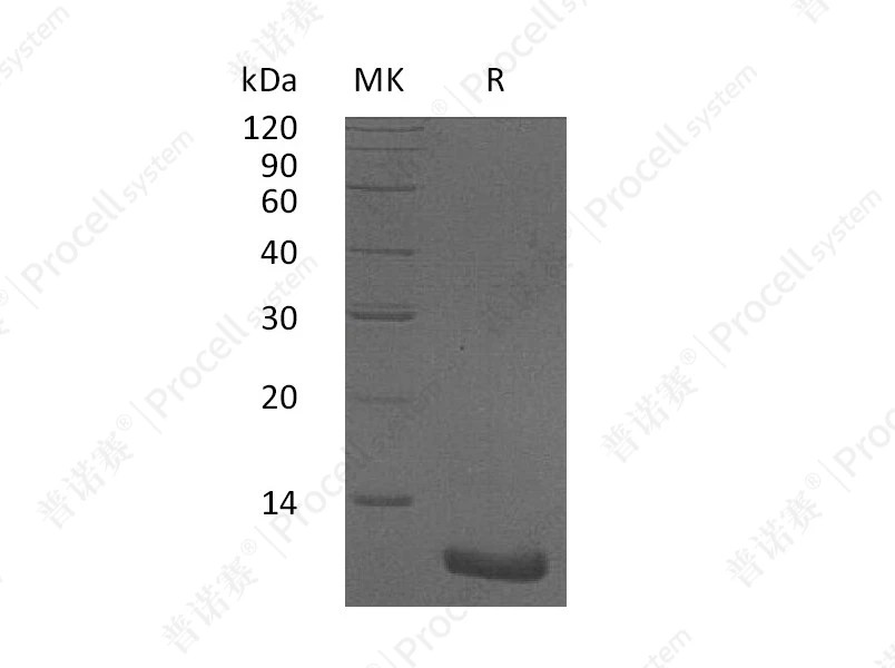 https://789.bio/ec/KC4lm9
