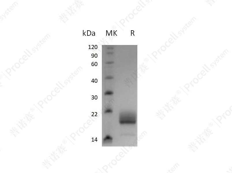 https://789.bio/ec/KCCKZ1