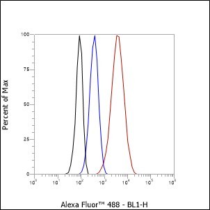 Recombinant CCR7 Monoclonal Antibody - 3