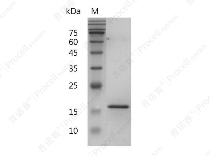 https://789.bio/ec/KG4lyL