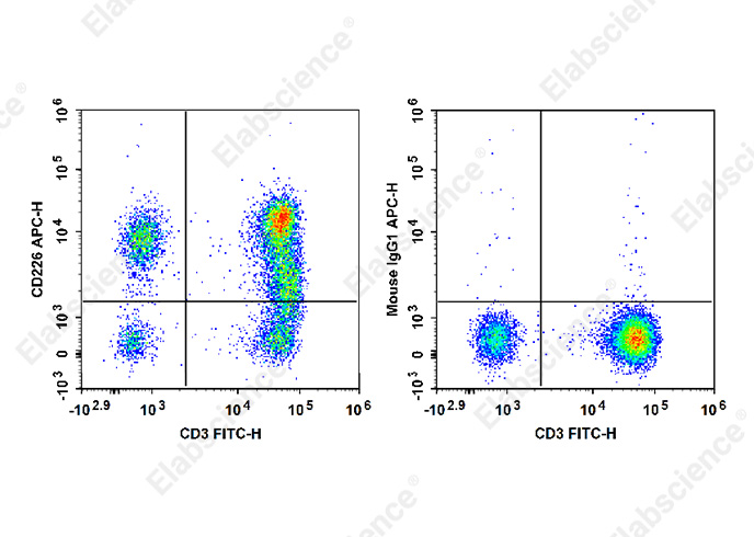 APC Anti-Human CD226/DNAM-1 Antibody[11A8]-1
