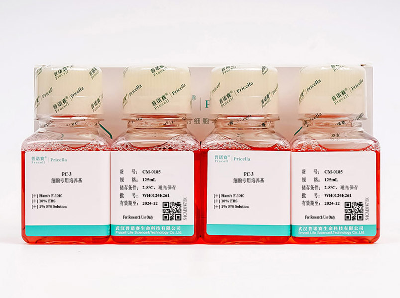 https://789.bio/ec/KGZu1G