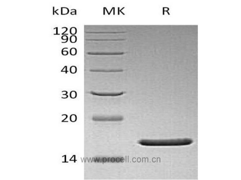 https://789.bio/ec/KGxSKC