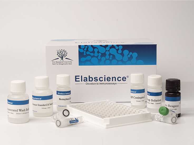 Rat MCSF (Macrophage Colony Stimulating Factor 1) ELISA Kit - 4