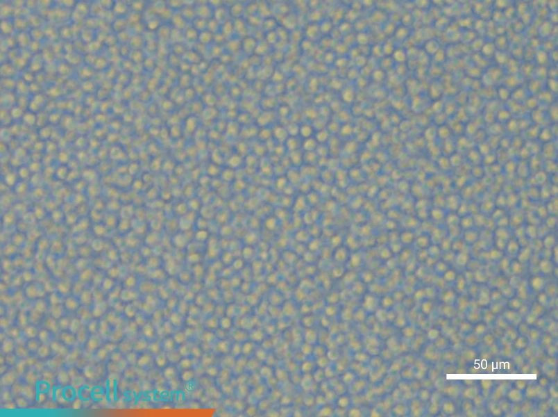 ML-2 Cell Complete MediumML-2 Cell Complete Medium - 4