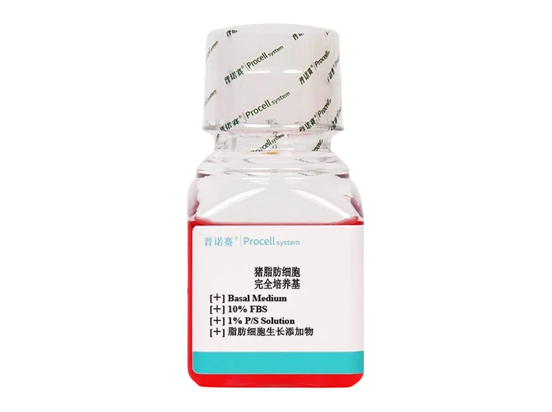 https://789.bio/ec/KIDQ8lzc