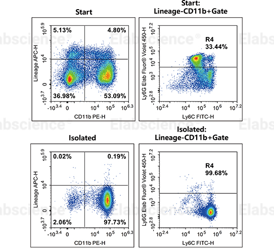 EasySort™ Mouse Monocyte Isolation Kit - 1