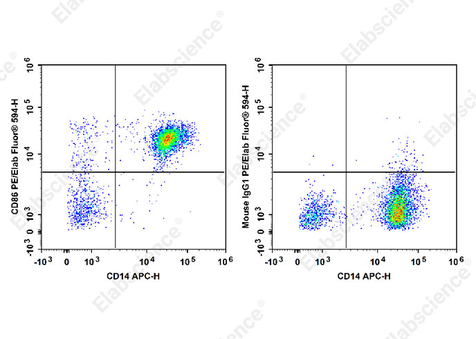 PE/Elab Fluor® 594 Anti-Human CD86 Antibody[BU63]-1