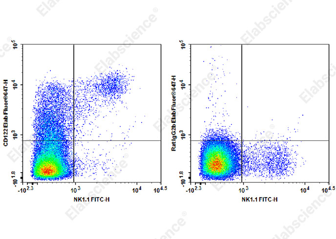 Elab Fluor® 647 Anti-Mouse CD122 Antibody[TM-Beta 1]-1