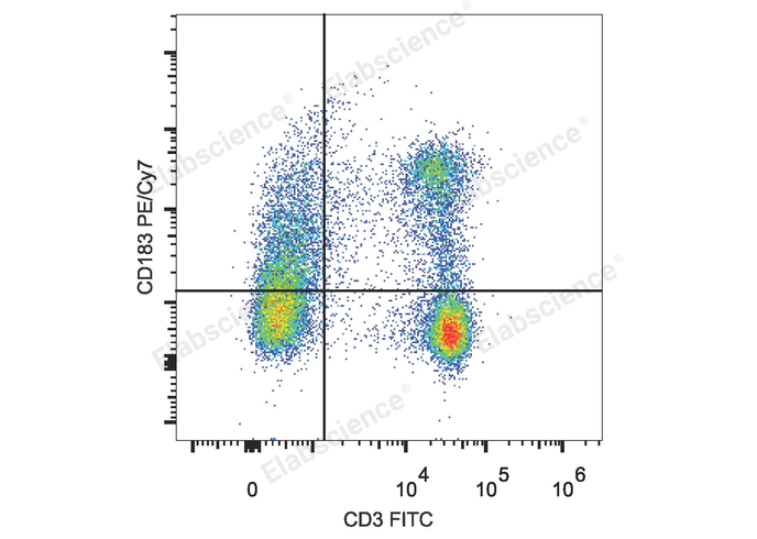 C57BL/6 murine splenocytes are stained with PE/Cyanine7 Anti-Mouse CD183/CXCR3 Antibody and FITC Anti-Mouse CD3 Antibody.