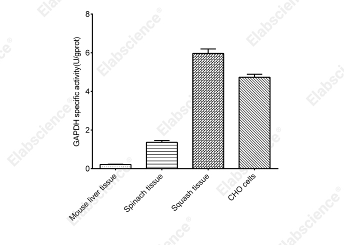 Glyceraldehyde-3-Phosphate Dehydrogenase (GAPDH) Activity Assay Kit - 2
