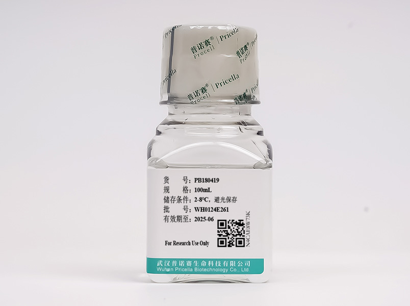 https://789.bio/ec/KRGOx5