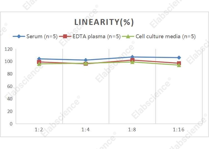 Mini Sample Rat TIMP-1 (Tissue Inhibitors of Metalloproteinase 1) ELISA Kit - 2