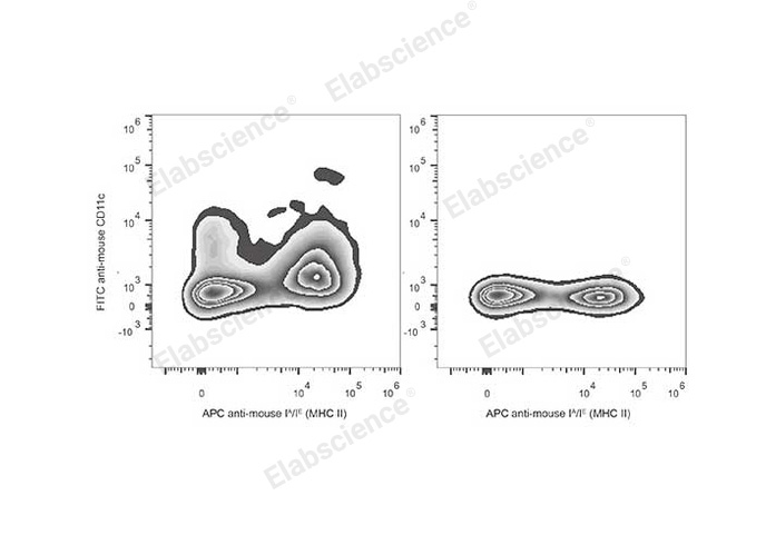 C57BL/6 murine splenocytes are stained with FITC Anti-Mouse CD11c Antibody and APC Anti-Mouse MHC II (I-A/I-E) Antibody (Left). Splenocytes stained with APC Anti-Mouse MHC II (I-A/I-E) Antibody (Right) are used as control.