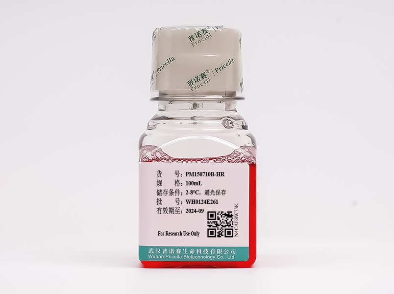 https://789.bio/ec/KV5dPC