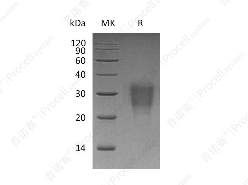 https://789.bio/ec/KVHlu9