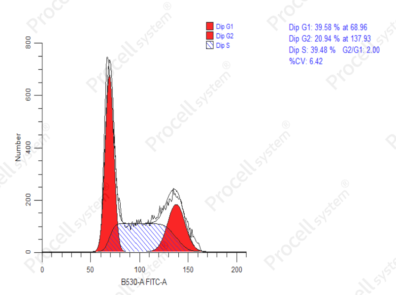 Cell Cycle Assay Kit (Green Fluorescence)