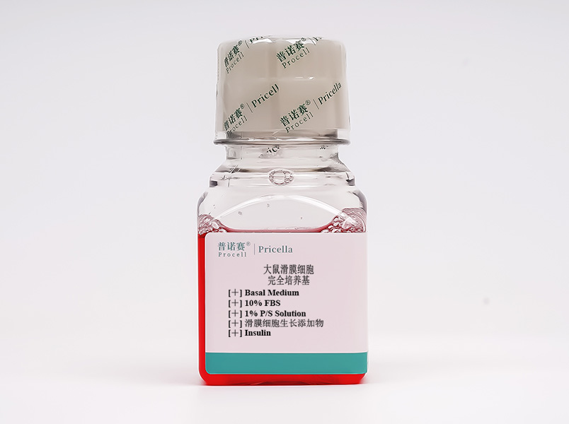 https://789.bio/ec/KZqShP