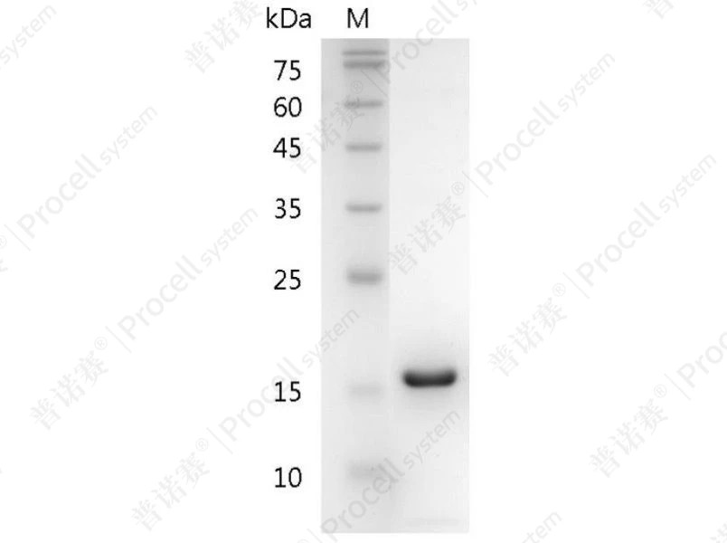 https://789.bio/ec/Kd9hm5