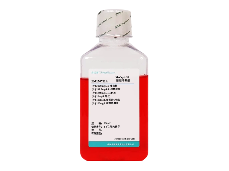 https://789.bio/ec/KefpT5UO
